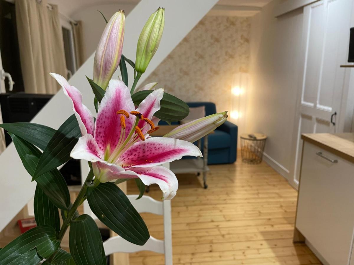 Houlgate Appartement La Briarde Eksteriør bilde